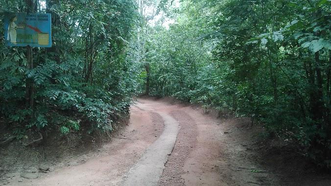 Allakanda Forest